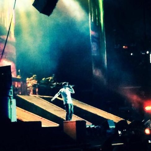 2014.02.15 - 16 Rapture 2014 Eminem вышел на сцену