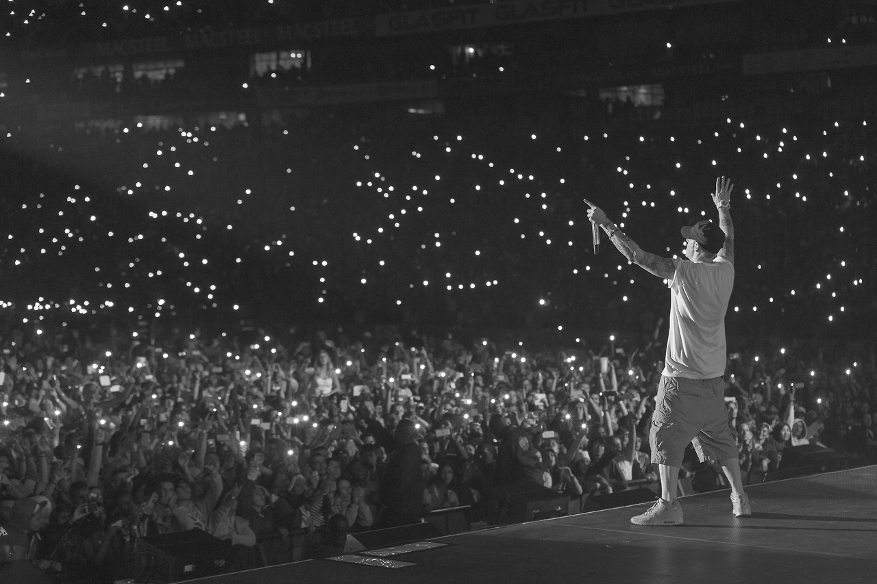 Eminem Rapture 2014 Johannesburg 01.03.2014 - 01