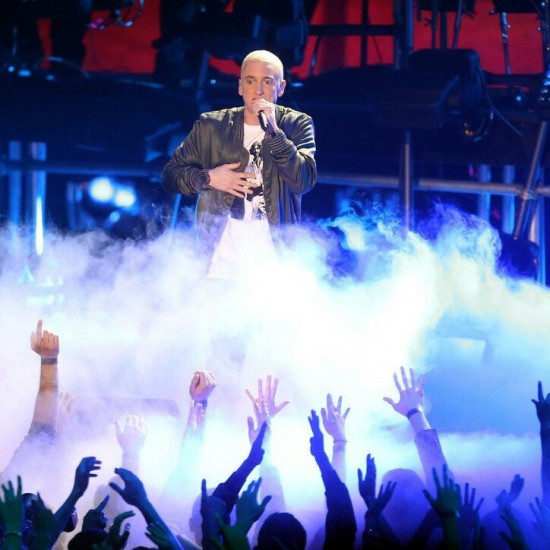 13 апреля 2014 года Eminem и Rihanna выступают с синглом The Monster в Лос-Анджелесе на MTV Movie Awards 2014