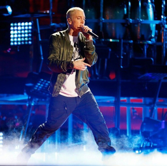 13 апреля 2014 года Eminem и Rihanna выступают с синглом The Monster в Лос-Анджелесе на MTV Movie Awards 2014