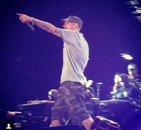 Eminem Comerica Park Detroit The Monster Tour 22 августа 2014