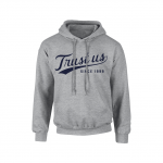 Trust Us Hoodie — Navy on Heather Gray