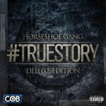 Horseshoe G.A.N.G. — TrueStory Cover by Brett Lindzen
