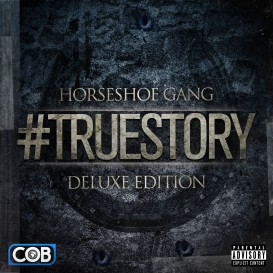 Horseshoe G.A.N.G. - TrueStory Cover by Brett Lindzen