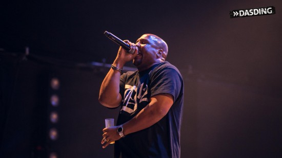 D12 - Live Openair Frauenfeld 2015 (Switzerland 11/07/15) by Niko Neithardt