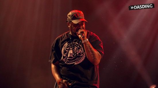 D12 - Live Openair Frauenfeld 2015 (Switzerland 11/07/15) by Niko Neithardt kuniva