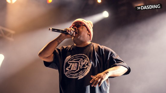 D12 - Live Openair Frauenfeld 2015 (Switzerland 11/07/15) by Niko Neithardt Bizarre