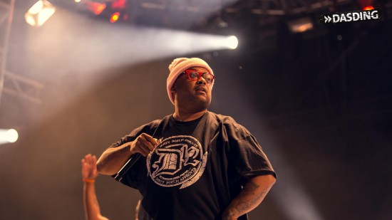 D12 - Live Openair Frauenfeld 2015 (Switzerland 11/07/15) by Niko Neithardt Bizarre