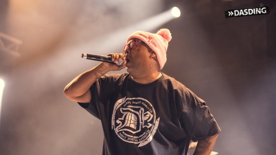 D12 - Live Openair Frauenfeld 2015 (Switzerland 11/07/15) by Niko Neithardt Bizarre