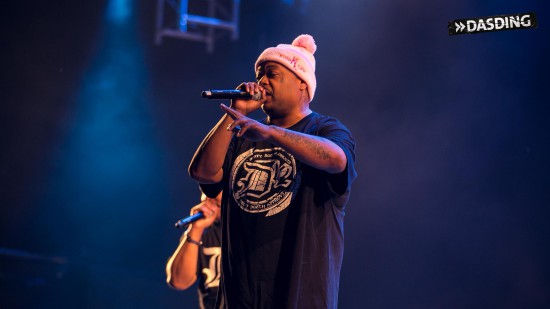 D12 - Live Openair Frauenfeld 2015 (Switzerland 11/07/15) by Niko Neithardt