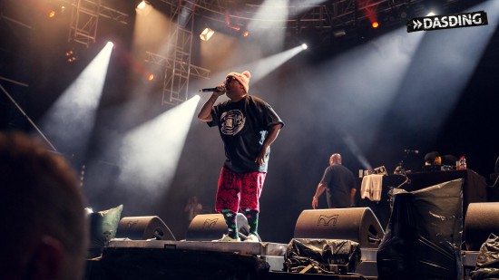 D12 - Live Openair Frauenfeld 2015 (Switzerland 11/07/15) by Niko Neithardt Bizarre