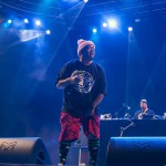 D12 beim Openair Frauenfeld 2015 (7)