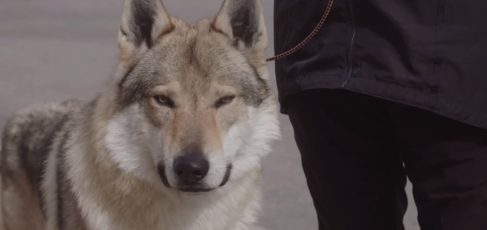 За кадром: Eminem и Yelawolf на съёмочной площадке «Best Friend»