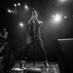 IMG_3910_1024x