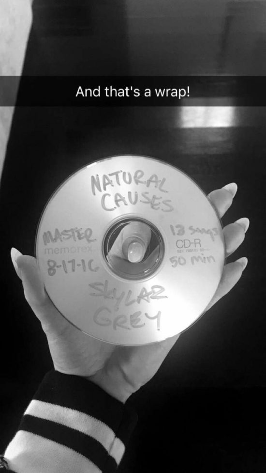 Мастер-диск альбома Skylar Grey Natural Causes