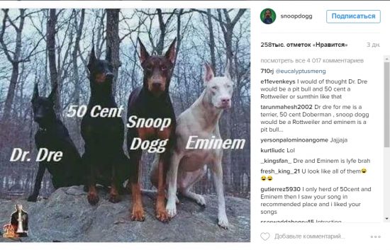 Snoop Dogg снова намекает на тур с Dr. Dre, Эминемом и Ламаром