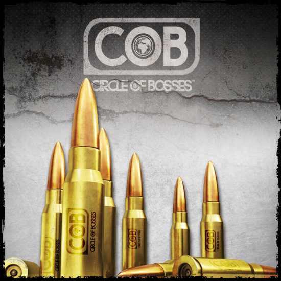 COB Ammo USB 10 Round Ammo Pack. Включает deluxe-версию альбома «Good Vs Evil» + 9 других проектов от KXNG Crooked. Всё это добро поставляется на флеш-накопителе в виде пули с логотипом COB. Стоит этот комплект всего $39,99 + доставка. Выпущено 200 коплектов. Отгрузка 18 декабря.