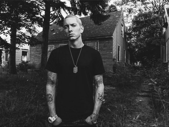 Eminem 2013