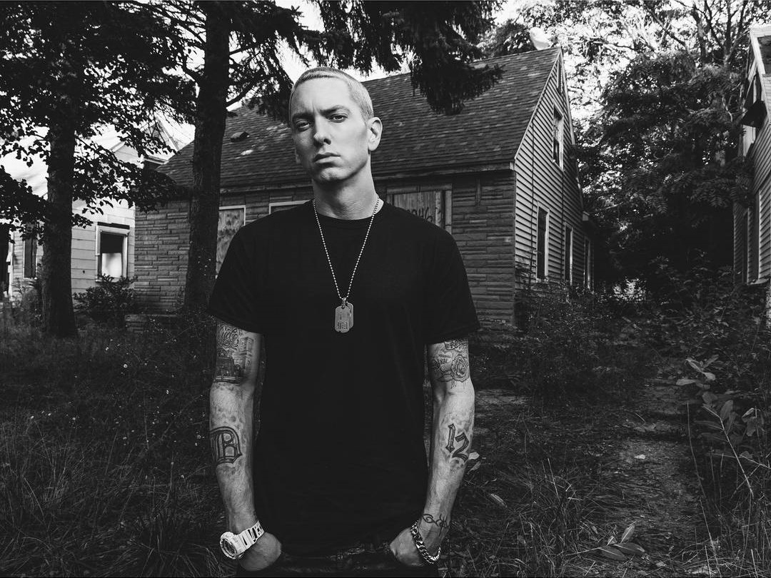 Eminem 2013