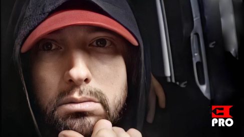 Поддержка проекта Eminem.Pro: Спонсорство